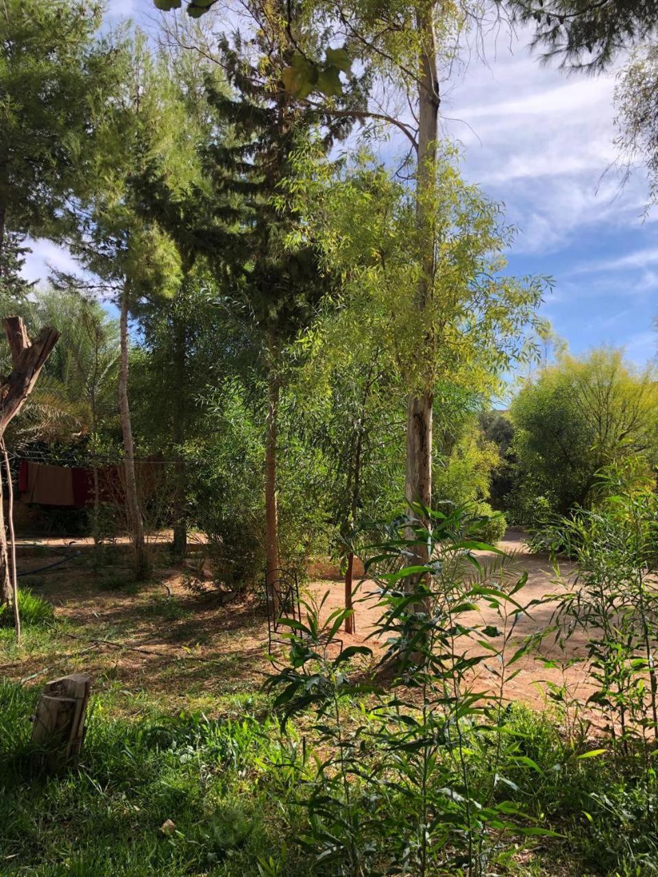 Hotel Camping Le Soleil Tinghir Exterior photo
